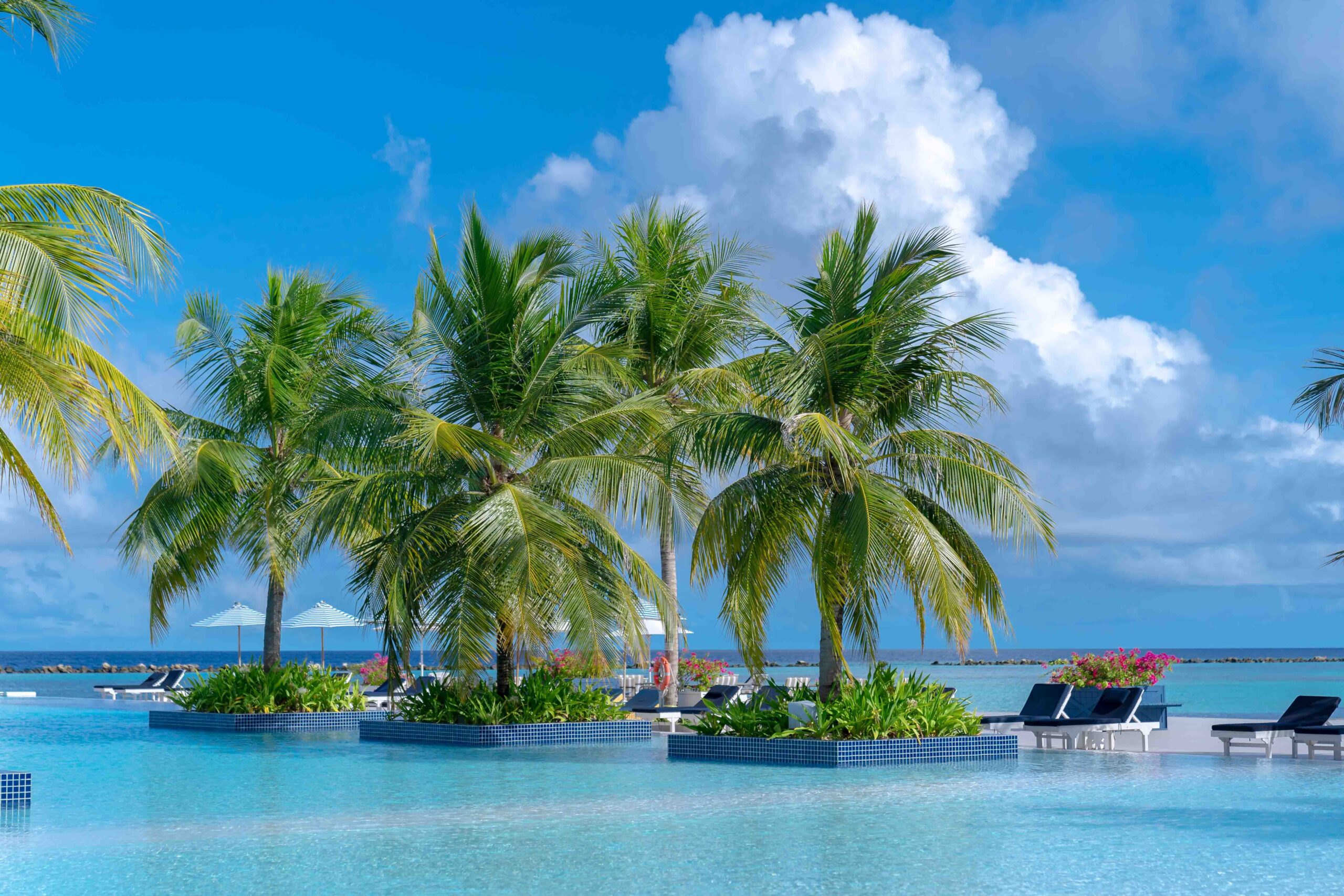 A luxurious tropical resort surrounded by palm trees, turquoise waters, and ocean views, capturing the relaxed elegance of vintage tropical easy listening.