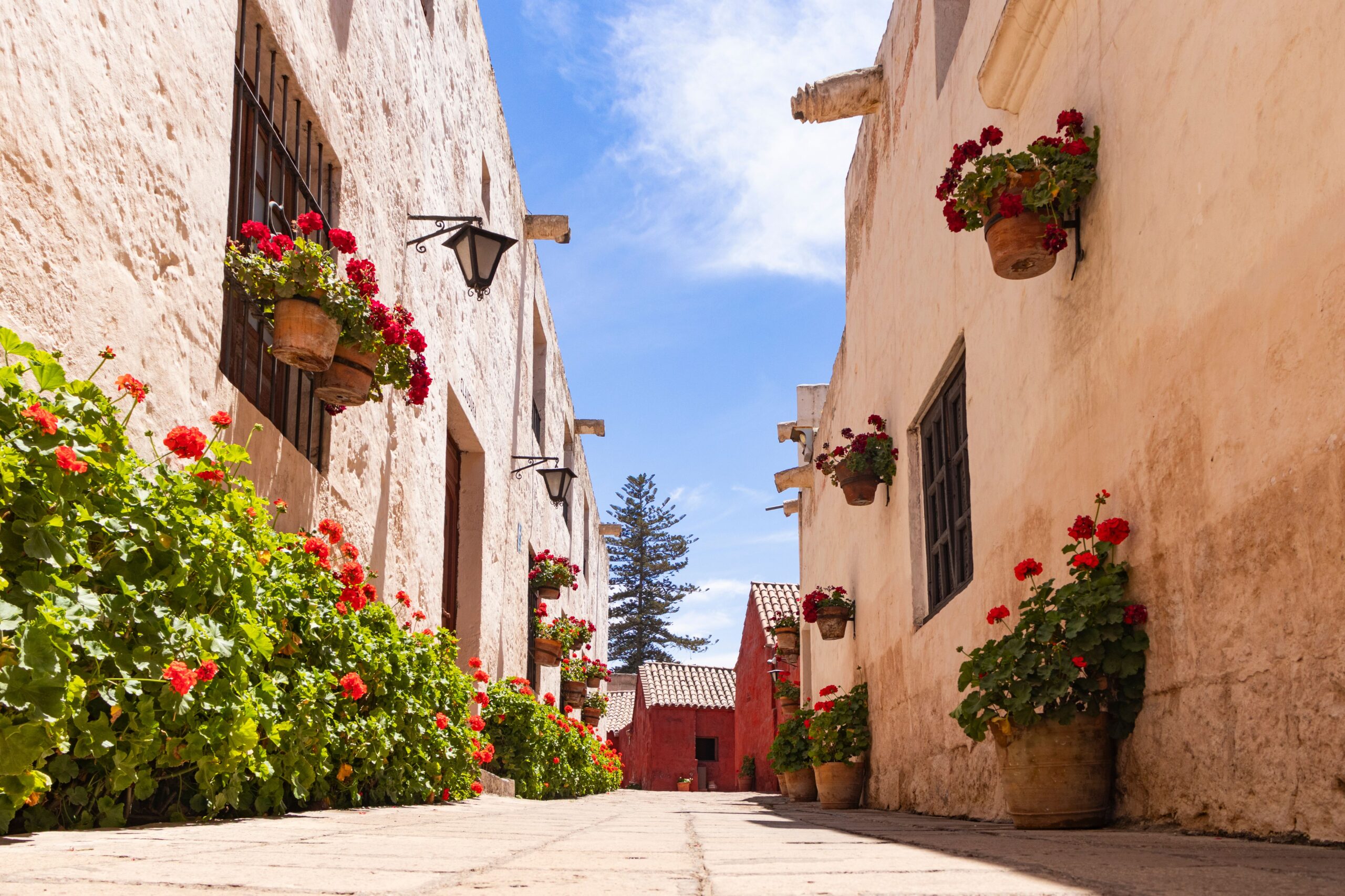 Sunlit European village lane adorned with blooming red geraniums and rustic white walls, capturing the charm of a peaceful floral afternoon.