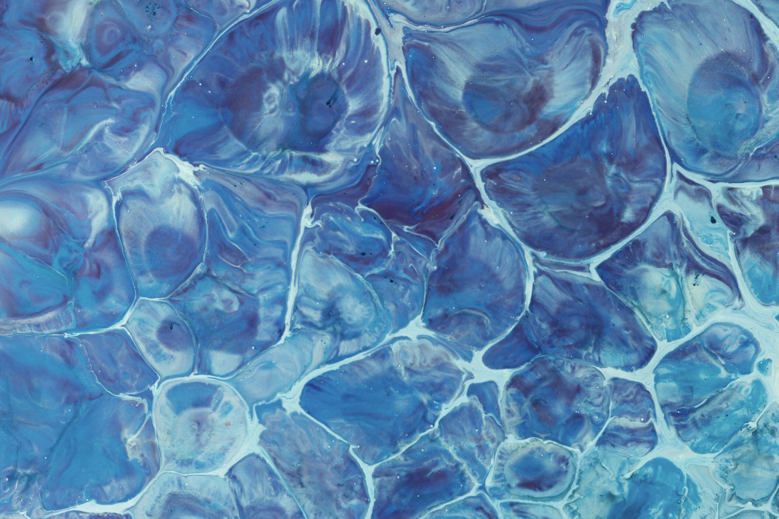 What Are Reactive Oxygen Species, and How Are They Formed?